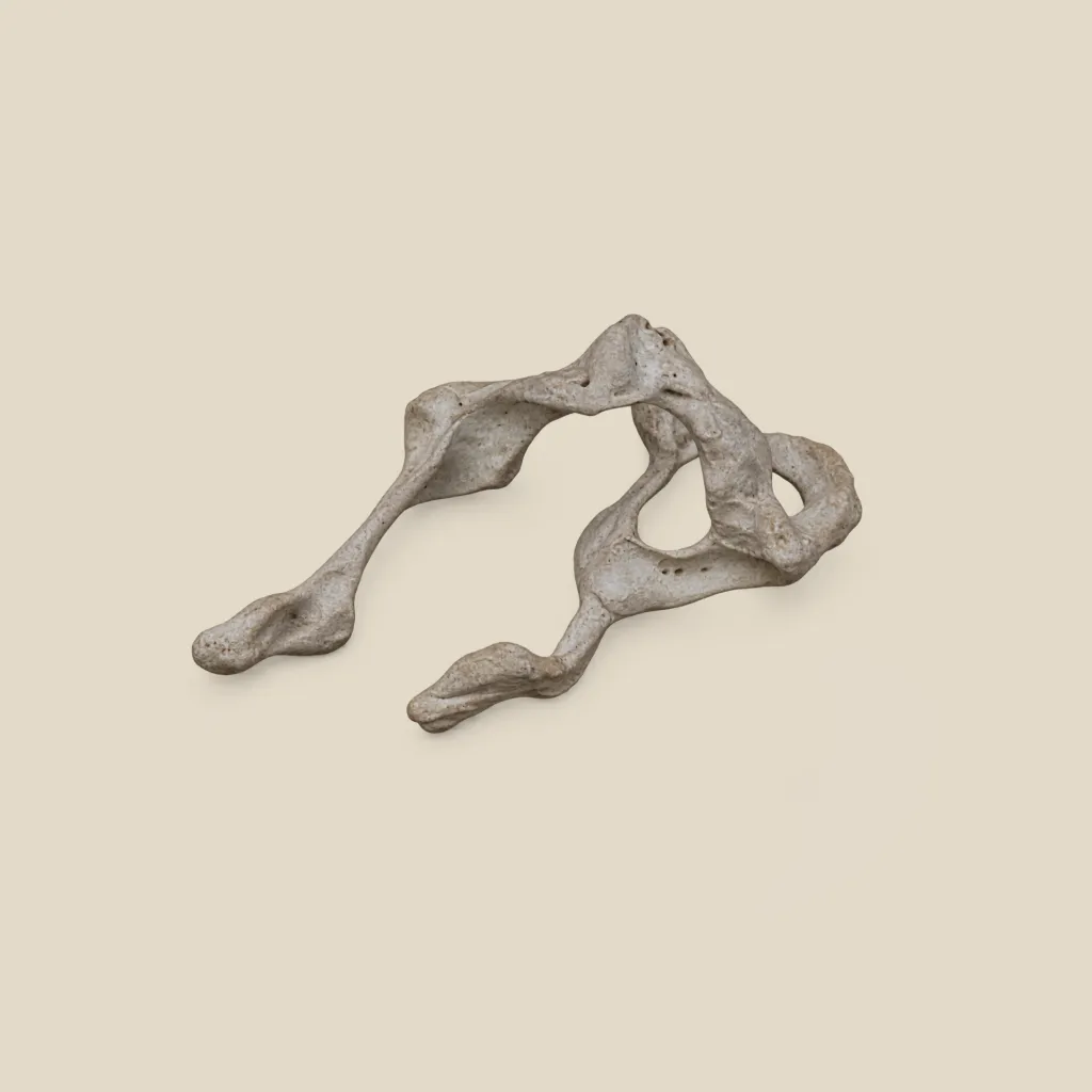 cntr-earcuff-web3.webp