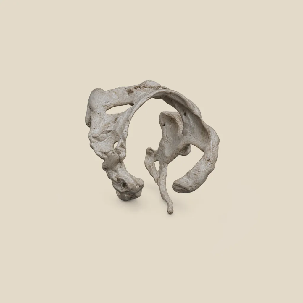 cntr-RING-web1.webp